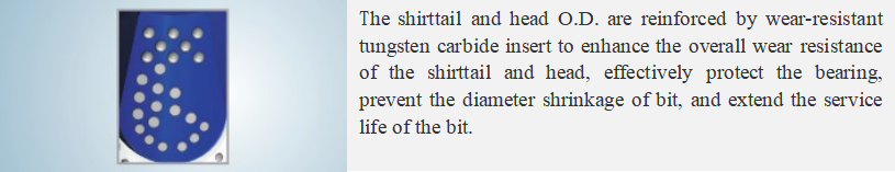 Bit Structural Features05.png